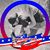 Melissa Dowlearn's profile image
