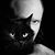 Mike Krutsinger's profile image