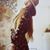 Judi Molthen Nelson's profile image