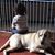 Pamela Ledward-Wasmuth's profile image