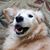 Jackie Kuzia's profile image