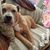 Margaret Zabala's profile image