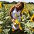 Sharon Chop Pilkinton's profile image