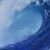 David Hauk's profile image
