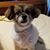 Doug Owens's profile image