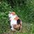Holly Lama's profile image