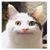Sarah Windmiller's profile image