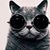 Richard Duran's profile image