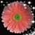 Nancy Helms Guess's profile image