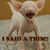 Paula Tabers's profile image