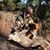 Dillon Isaak's profile image