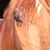 Madelyn Enright's profile image