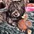 Sharon Middleton's profile image