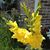 Kathy Depa Ruffolo's profile image