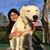 Daniela Rivera's profile image