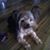 Lynn Bates's profile image