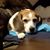 Debby Walker's profile image