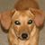 Tom Green's profile image