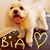 Ana Borghi's profile image