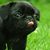 Douglas Kipta's profile image