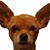 James Wormuth's profile image