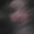 Gina Bernardoni's profile image