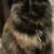 Judy Fulmer's profile image