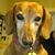 Gidget Wilson Kidd's profile image