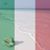 Cinzia Pellegrini's profile image