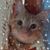 Deb Atkinson's profile image