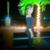 Annie Truong's profile image