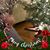 Elizabeth Mandato Youngs's profile image