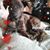 Kathy Mills Follette's profile image