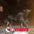 Lori Hamblin's profile image