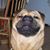 Martin Hisson's profile image
