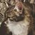 Sadie Crumet's profile image