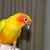Kathy Bost La Tour's profile image