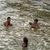 Sharon Spillman Melder's profile image