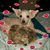 Lori B Allen's profile image
