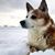 Kathryn Bolin's profile image