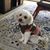 Jacque Thornton Boyd's profile image