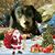 Arlene Downs Eckles's profile image