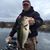 Anthony Killough's profile image