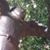 Robin Haile Murillo's profile image
