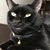 Sandra Dudley's profile image