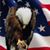 Joe Romano's profile image