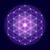 Jessica Grentner's profile image