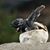 Liz Sanville's profile image