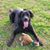 Sandy Wight's profile image