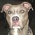Mandy Freiley's profile image